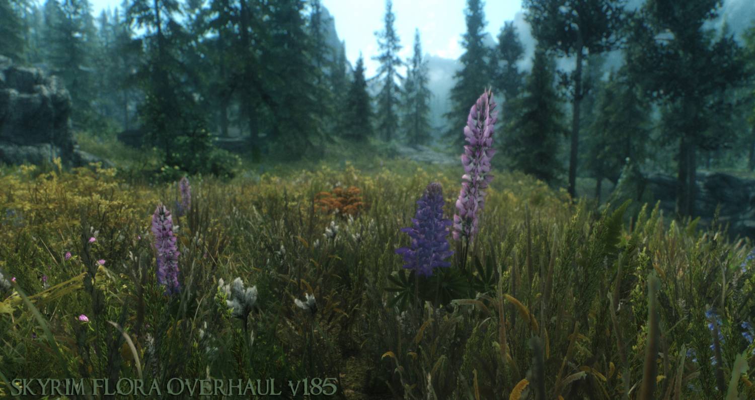 Как удалить skyrim flora overhaul