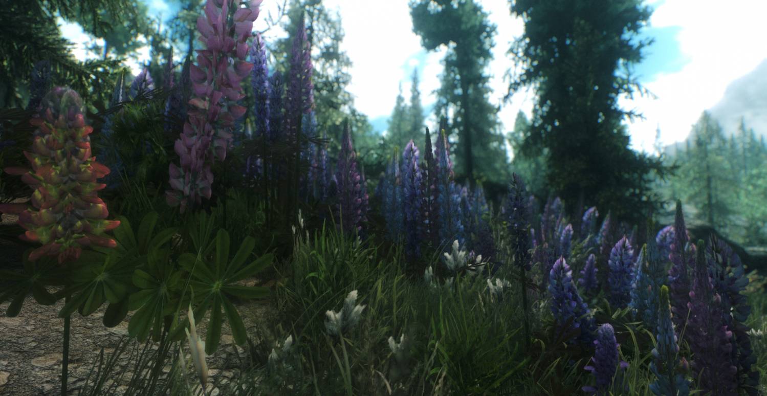 Flora overhaul. Skyrim overhaul. Skyrim Flora overhaul. Скайрим мод на новую флору.