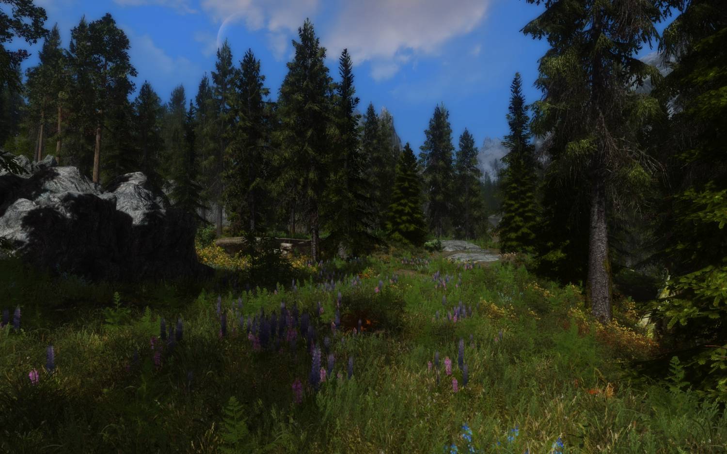 Flora overhaul. Скайрим Flora overhaul le. Skyrim Flora overhaul se. Скайрим мод SFO.